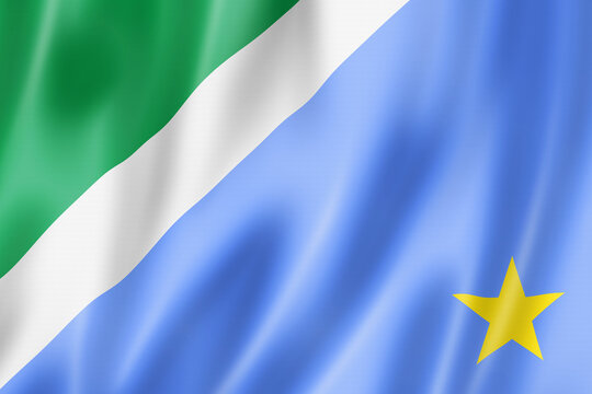 Bandeira de Mato Grosso do Sul